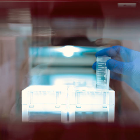 RTW Institute Launches to Advance Patient-Centered Health Policy and Medical Innovation
