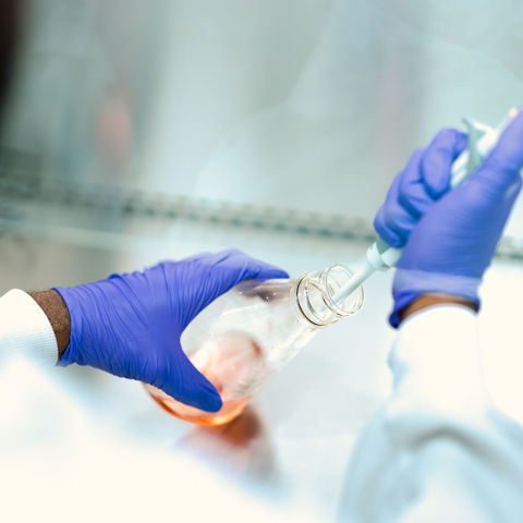 The Butterfly Effect: How Pediatric PRVs Shape Innovation and Access to Medicines